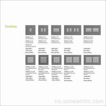 Hvit CE-sertifisering 2Gang D/P Switched og BSSockets